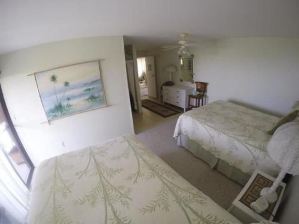 Hale-Hoola B & B Captain Cook Bagian luar foto